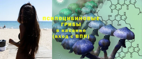 винт Магас