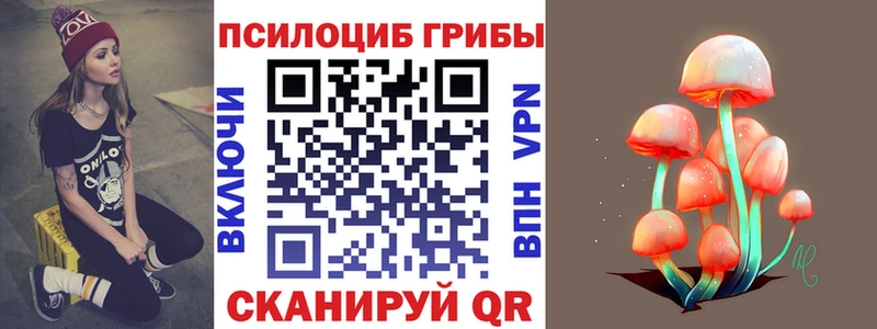 Купить  Старая Русса  Галлюциногенные грибы MAGIC MUSHROOMS 