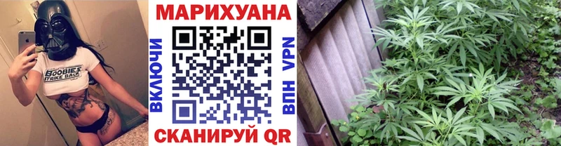 Конопля VHQ  Купить закладки  Старая Русса 